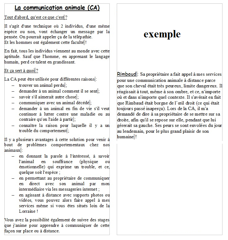 Brochure ca