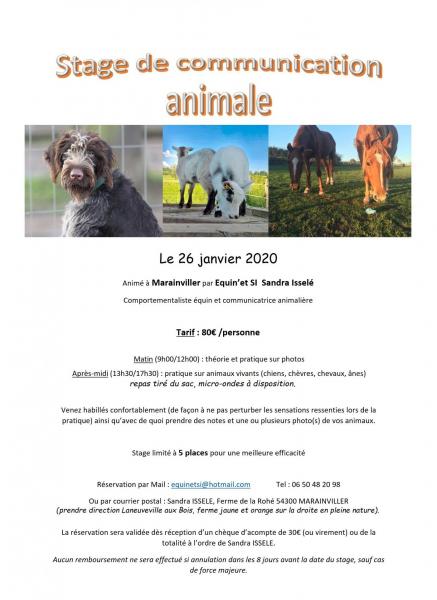 Stage de communication animale 26 janvier
